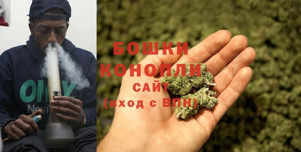 ALPHA PVP Медвежьегорск