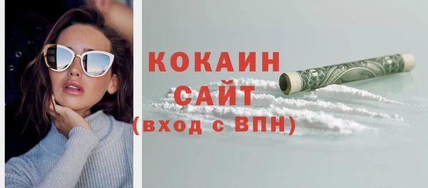 прущие крисы Ельня