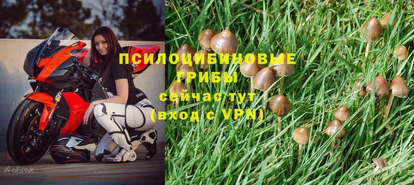 молекула духа Мегион